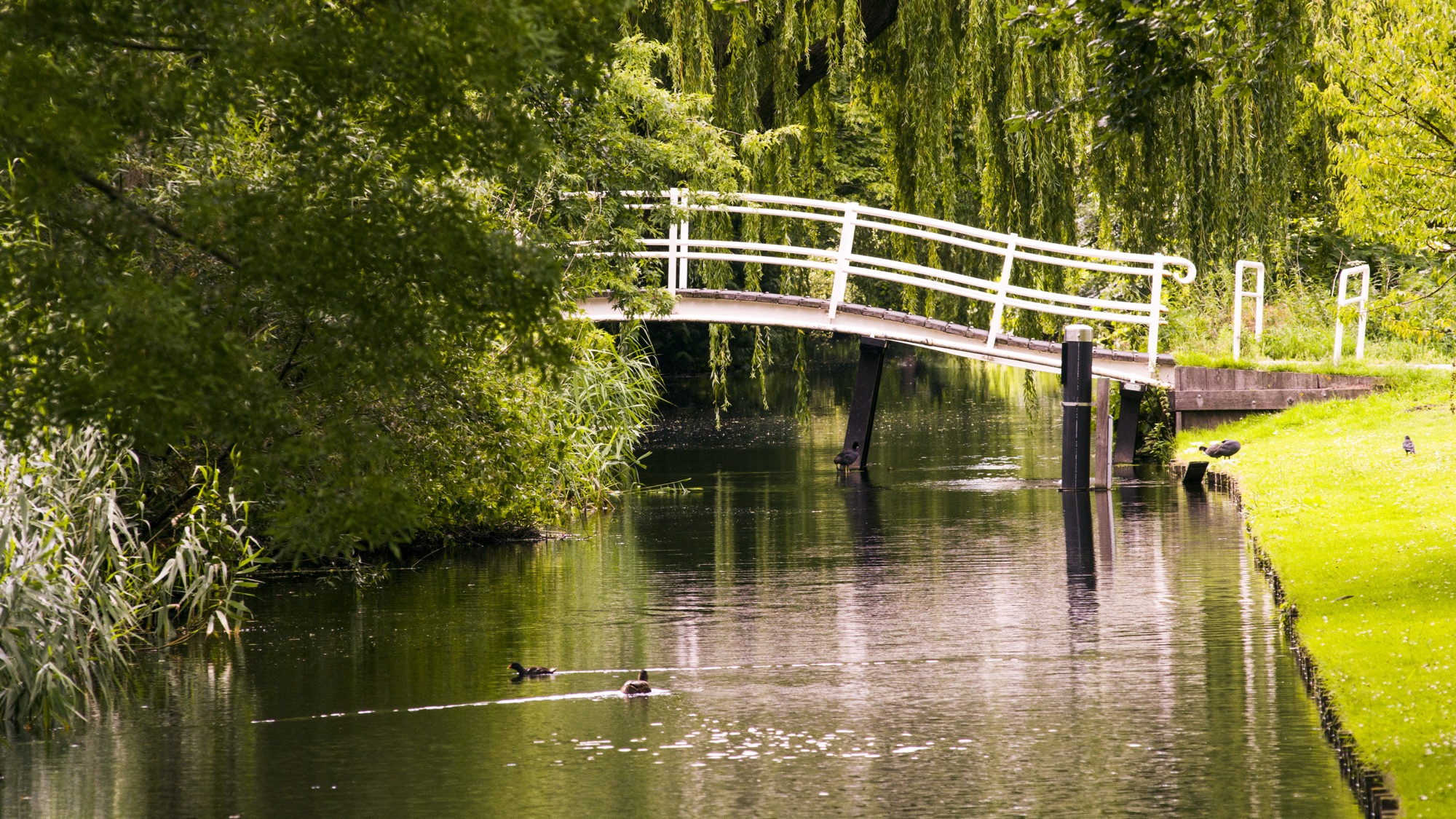 Places photograph by Antoine Moreau (19 of 24)
